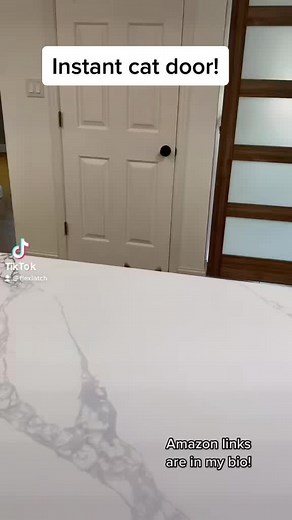 Instant cat door without cutting or screwing! Leaves no damage and easily installs with one hand! #tiktokmademebuyit #catsoftiktok #catproblems