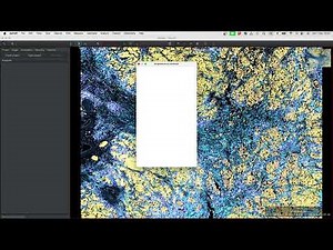 Efficient Channel Extraction in QuPath: Script Showcase