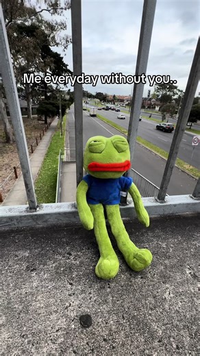 Me Without You: A Cute Pepe the Frog Tribute