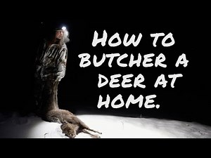 How to Butcher a Deer at Home | A Beginner Friendly Guide.