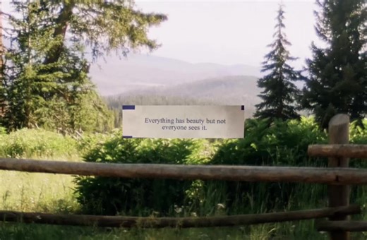 Beautiful Moments Captured on Film