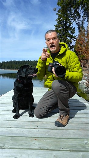 85K views · 1.4K reactions | How would you photograph this dog? Get your FREE camera settings cheat sheets. Visit timsphotos.com | TimsPhotos | Facebook