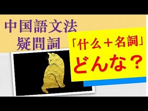 【中国語文法・疑問詞】“什么”＋名詞☆「どんな」「どういう」「なんという」