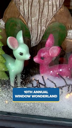 Airport Thanksgiving Travel🦃✈️ Plus, Window Wonderland🪟