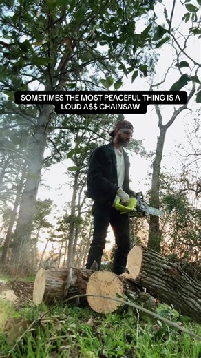 DIY Chainsaw Projects for Landscapes on the Farm