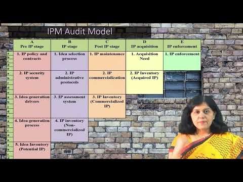 IPM Audit Model Framework Overview