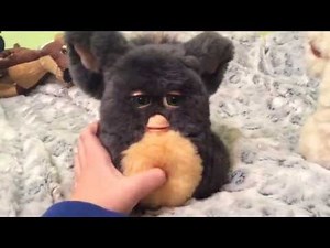 My Furby Broke