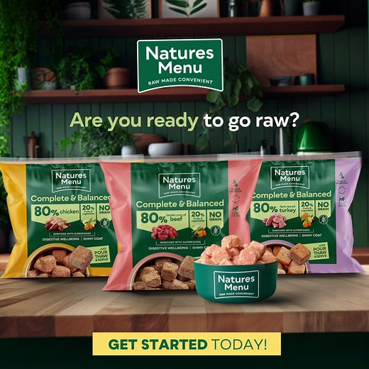 71 reactions · 24 comments | Whether you’re new to raw dog food, new to Natures Menu or you’re just weighing up what’s right for your dog, we’ve got you covered, with our ultimate guide to raw feeding. Big questions answered, health benefits explained, dinners demystified… check out the ultimate guide to going raw  | Natures Menu | Facebook