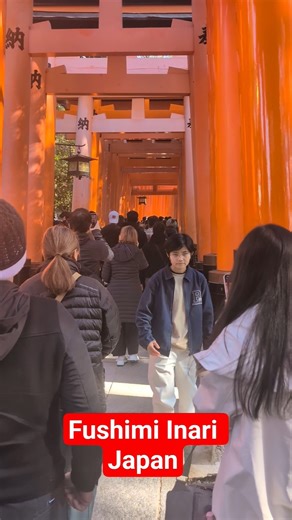 Japanese Temple | Kyoto | fushimiinari |#japan #train #temple #fushimi