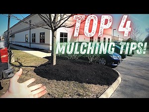 TOP 4 Mulching Tips!