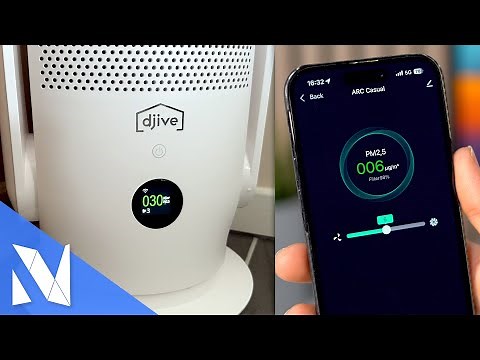 Saubere und frische Luft - djive Flowmate Arc Casual 2-in-1 Luftfilter mit App | Nils-Hendrik Welk