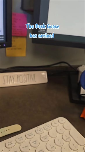 The Desk Goose: Fun Office Supply Addition