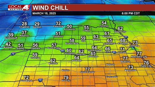 Here's a look at your current conditions around the area. They include current temperatures, winds, wind chill/heat index, satellite and radar, and visibility. | Local4 Weather