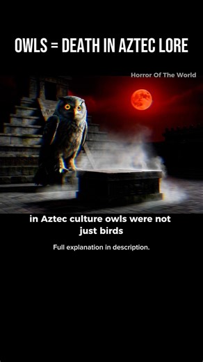 Why Owls Were Feared as Death Omens in Aztec Culture