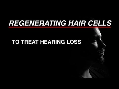 Regenerating Hair Cells to Treat Hearing Loss
