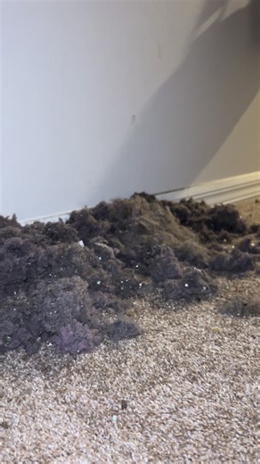 Vacuuming ASMR for Ultimate Relaxation