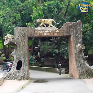 1M views · 24K reactions | மிஸ் செய்யக்கூடாத சுற்றுலா தளம்! அடர்ந்த...