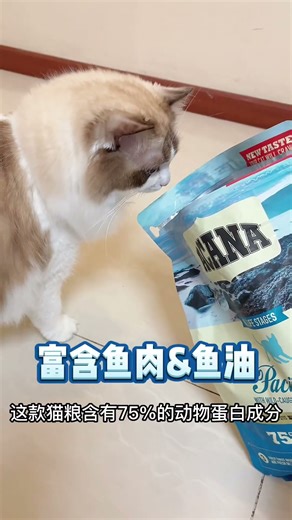 头能过去的地方，身体也能过去？#funny #cat #shorts