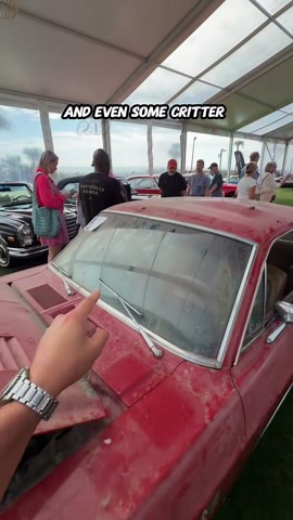 Classic car secrets the 1968 Shelby GT500KR hidden in a barn