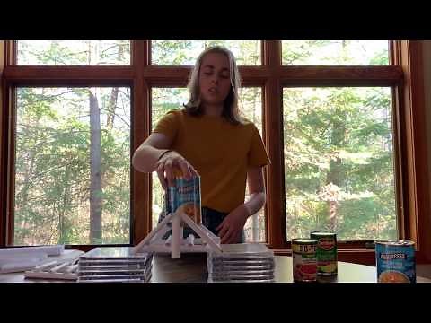 At Home Paper Bridge Experiment