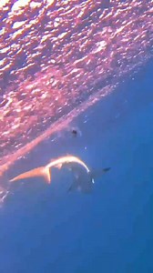 🔥Most Genius Idea for Sea Fishing😱 Kanama Smart Bait – Electronic Robotic Lure That Replaces 🐟Dead Bait Revival Tech | Dynamic Live Fish Simulation 🛒www.kanama.com | Kanama