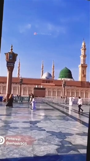 Islam_Me_Girgit_Ko_Marne_Ka_Hukum_Kyu_Hai_🤔_#shorts_​#Shorts