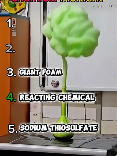 Exciting School Chemical Reactions You Must Try