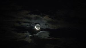 Rising crescent Moon - November 16th 2025 | Lunar 101-Moon Book