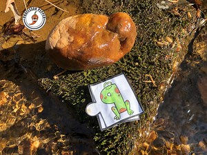 Free Spring Activities Pack for PK-1st - Spanish & Bilingual - Professor Pepper