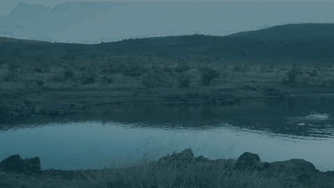 clip-3999305885-emerging-translucent-bars-initiating-line-graph-growth