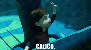 b72b49d6-0728-4a66-b824-f56d3fb6b5f5