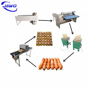 [Hot Item] Stainless Steel Egg Weight Grading Sorting Machine 5400 Egg Washer
