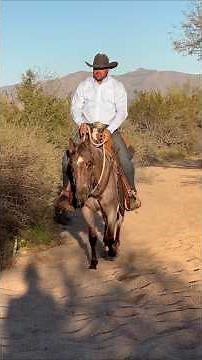 Professional Clinician Jeff Davis shares a rollback drill we use during training #applythemethod