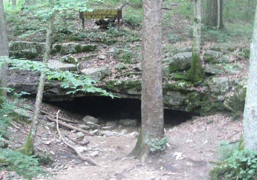 Ultimate Guide to Wolf Cave, Indiana (Tours, Pricing, History, Map)