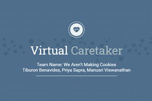 Virtual Caretaker