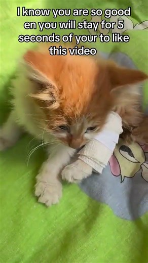 Don’t. Mind my voice it’s my first time and am shy