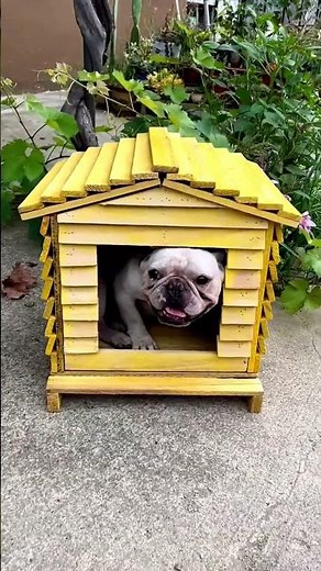 Amazing Chicken Coop Design 🐔🏡 | Cozy Handmade Hen House That Everyone Will Love!