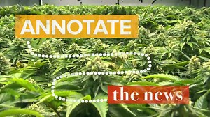 What's going on with weed legalization these days? | NowThis