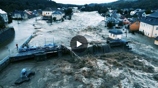 Carbon Offsets: Do They Work? | Yale Economic Growth Center posted on the topic | LinkedIn