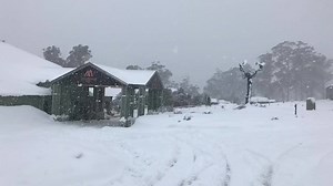 Cradle Mountain Hotel on Reels