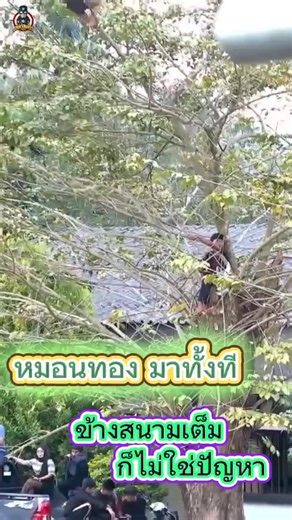 ฟุตบอลไทยลีก: รวมสนุกและข่าวล่าสุด