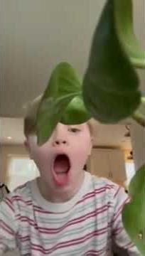 Peppa Pig Speed Episode