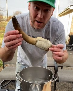 Geoducks are a species of large salt water clams 😮 🌊 | FOODbible