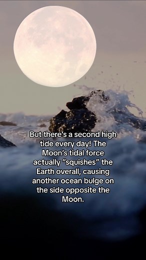 Understanding the Science Behind Ocean Tides