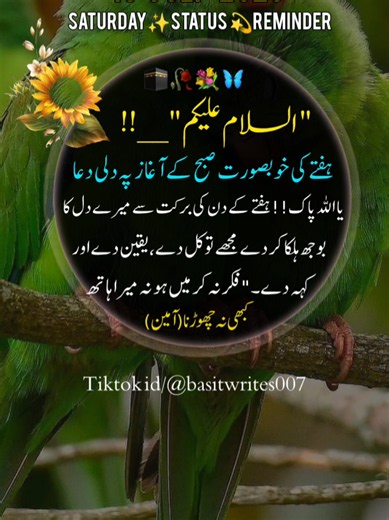 good morning 🕋🦋💐🥀(18 july 2026)status ✨reminder #goodmorning #saturday #viralvideo #foryoupage #basitwrites007