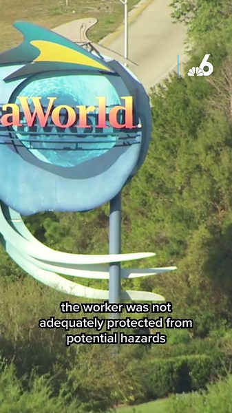 SeaWorld Orlando Fined for Trainer Injury Incident