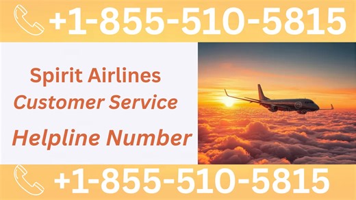 Official Spirit Airlines ® Customer Service: How to Contact Spirit Airlines ® | 24/7 Live Help & Support
