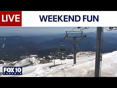 🔴LIVE: WEBCAMS around the world | April 11 | FOX 10 Phoenix