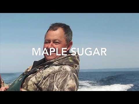 Maple Sugar