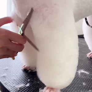 Dog Grooming Scissors, Stainless Steel Pet Grooming Scissors Set, Safety Round Tip Thinning, Straight, Curved Shears with Grooming Comb for Long or Short Hair, Small or Large Dogs, Cats